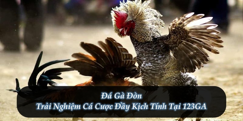 Đá Gà Đòn – Trải Nghiệm Cá Cược Đầy Kịch Tính Tại 123GA